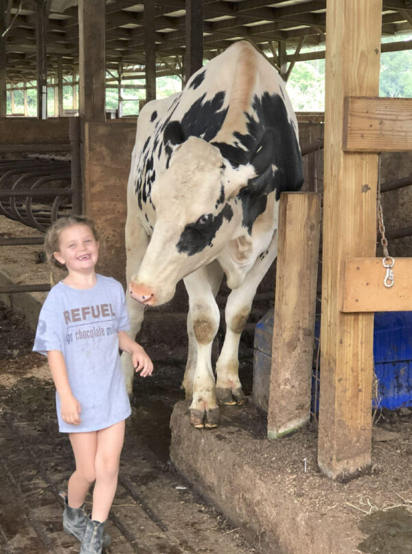 Cattle Barn trifold
