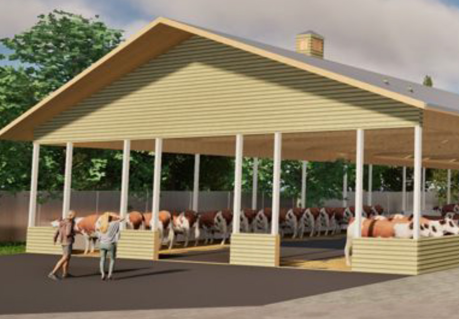 Cattle Barn trifold